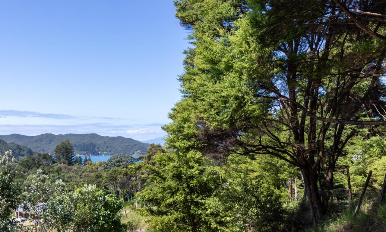Aotea Lodge Great Barrier Tryphena المظهر الخارجي الصورة